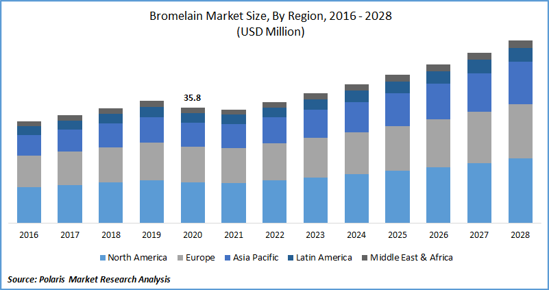 Bromelain Market Size