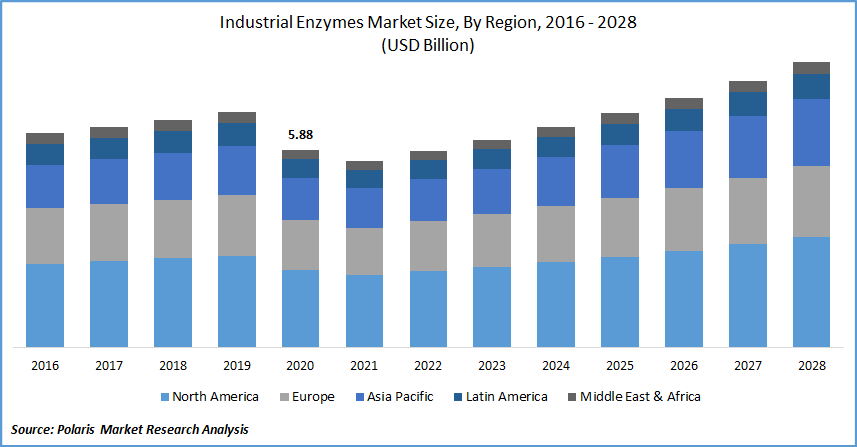 Industrial Enzymes Market Size