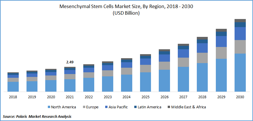 Mesenchymal Stem Cells Market Size