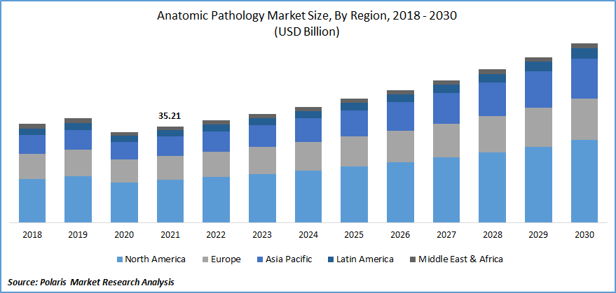 Anatomic Pathology Market Size