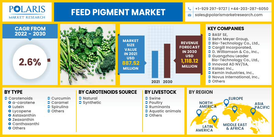 Feed Pigment Market