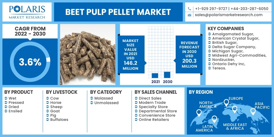 Beet Pulp Pellet Market 2030