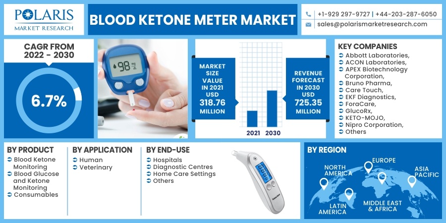 Blood Ketone Meter Market 2030
