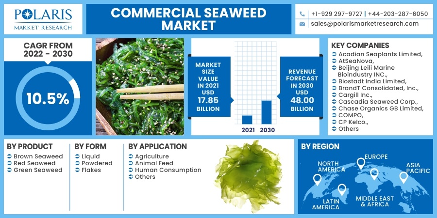 Commercial Seaweed Market 2030