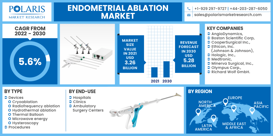 Endometrial Ablation Market 2030