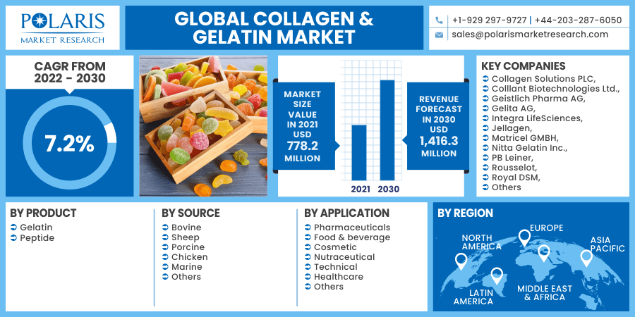 Collagen & Gelatin Market 2030
