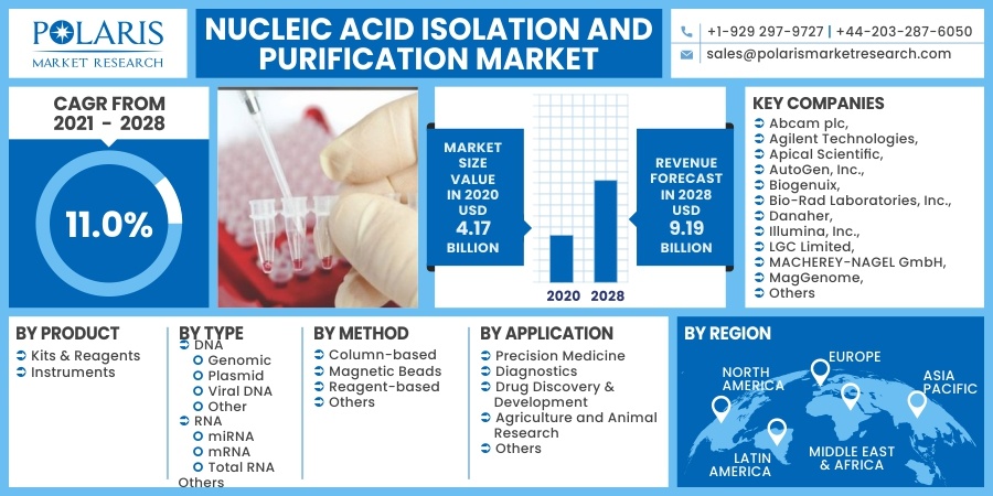 Nucleic Acid Isolation and Purification Market 2030