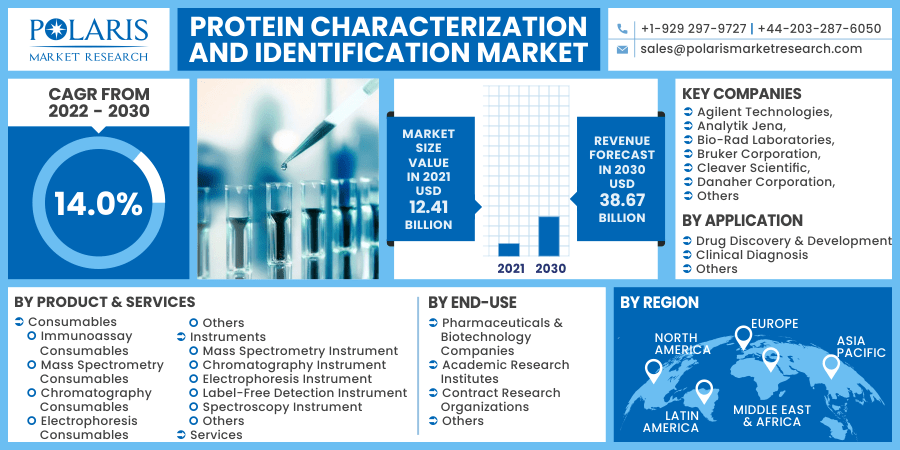 Protein Characterization and Identification Market