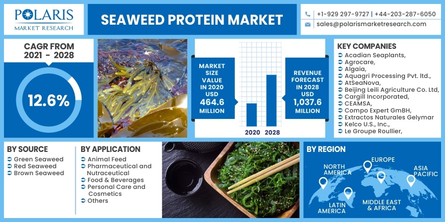 Seaweed Protein Market 2030
