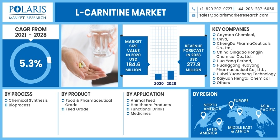 L-Carnitine Market 2030