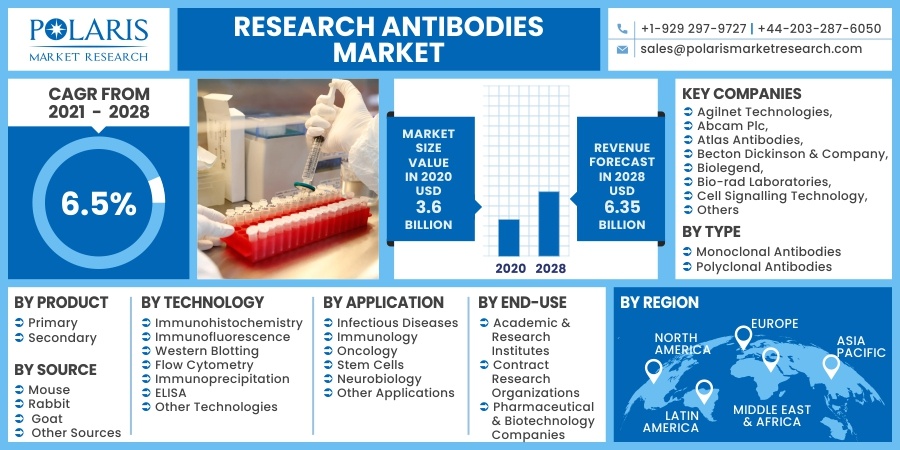 Research Antibodies Market