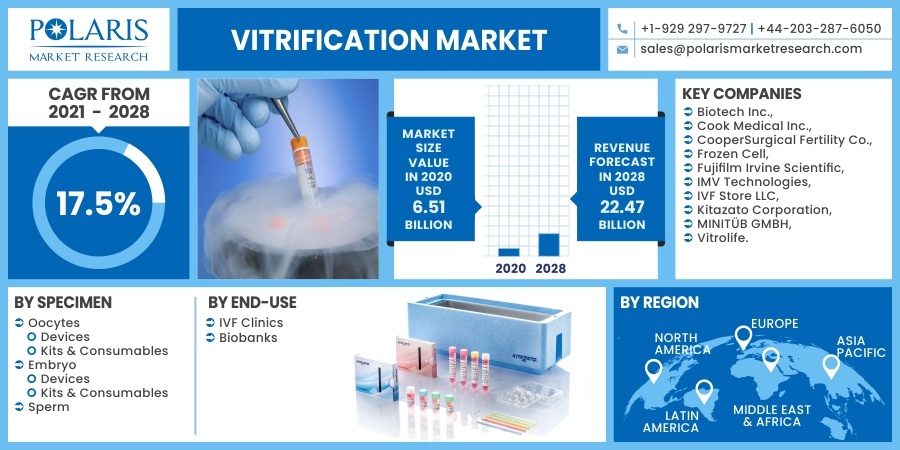 Vitrification Market