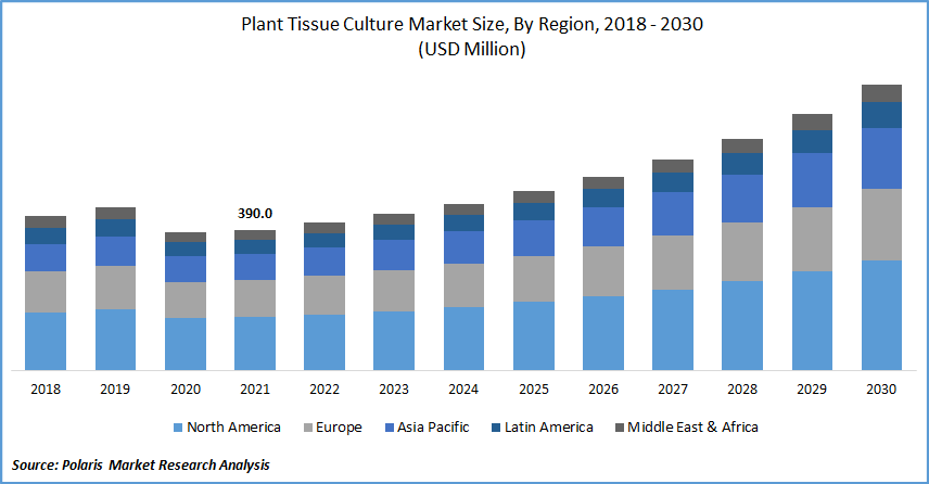 Plant Tissue Culture Market Size