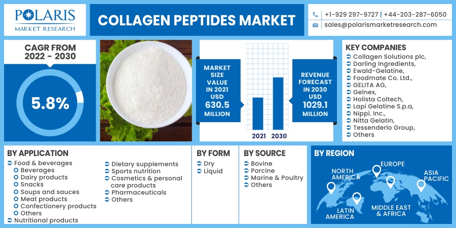 Collagen Peptides Market