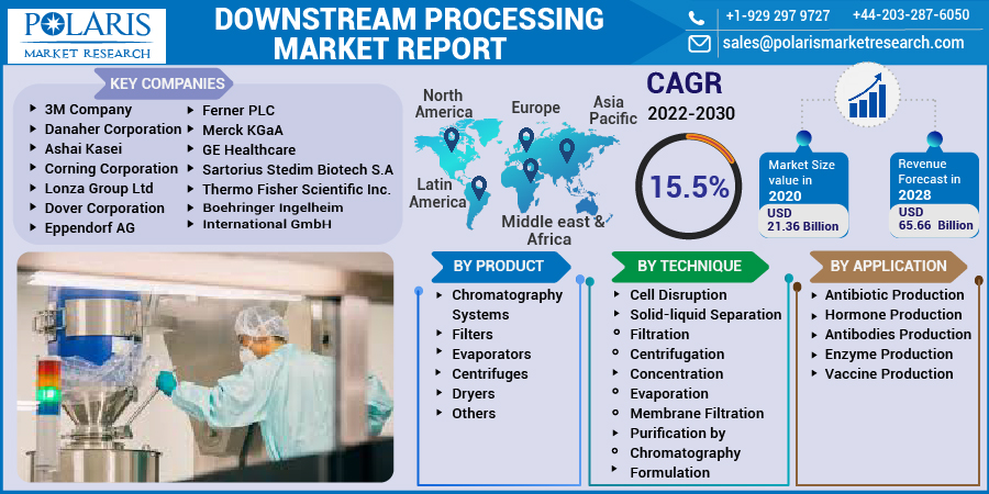 Downstream Processing Market