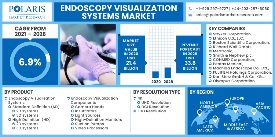 Endoscopy Visualization Systems Market