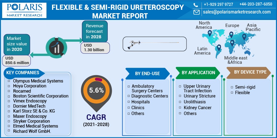 Flexible & Semi-Rigid Ureteroscopy Market