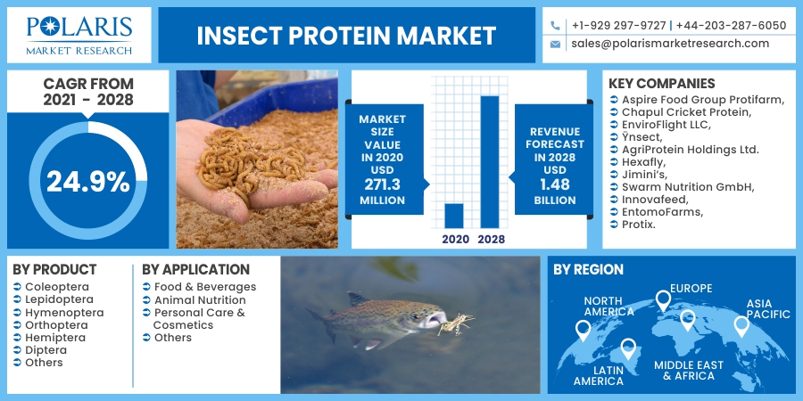 Insect Protein Market