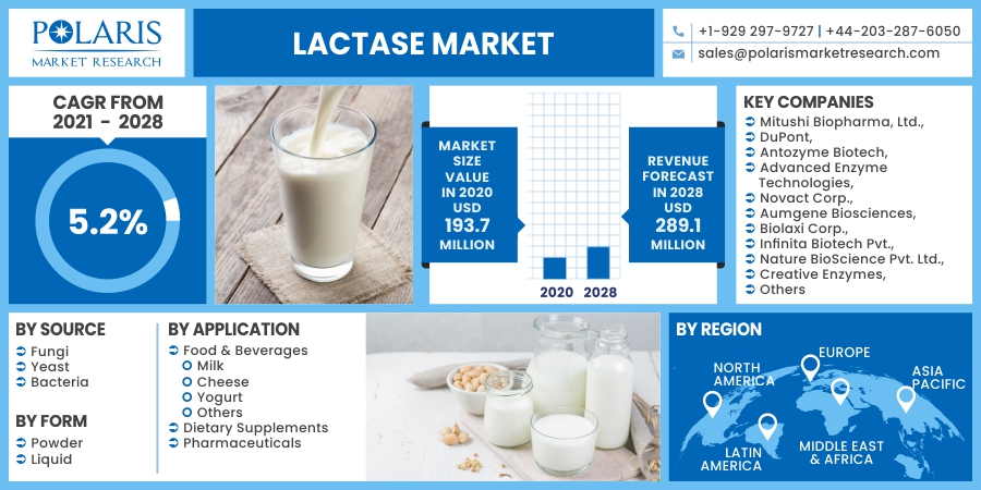 Lactase Market