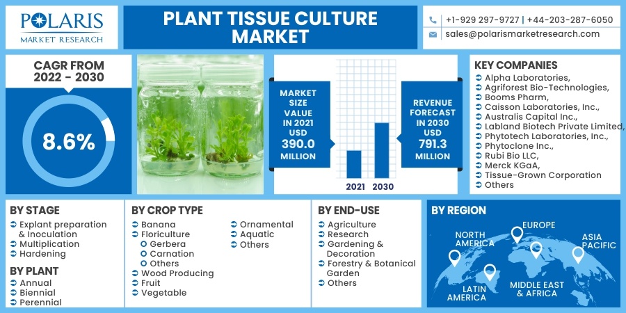 Plant Tissue Culture Market