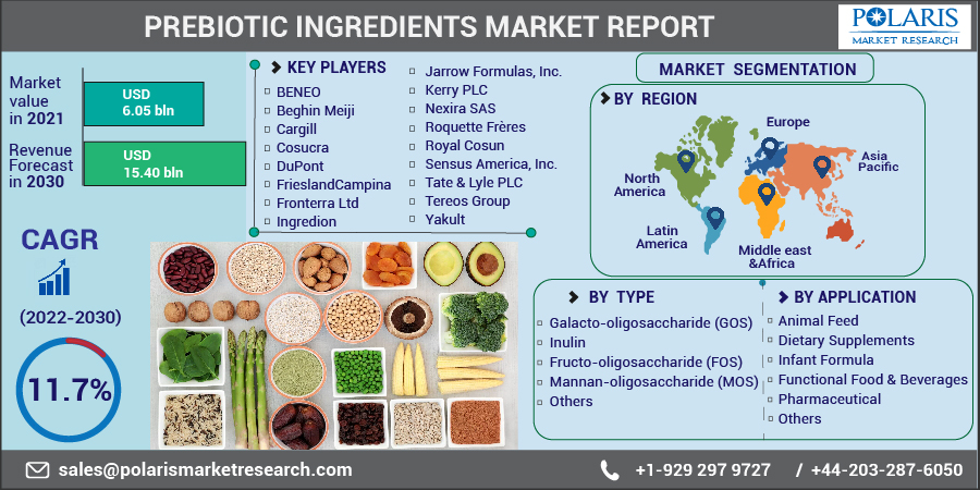Prebiotic Ingredients Market