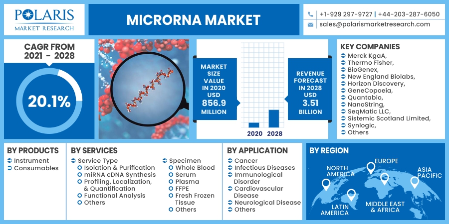 microRNA Market