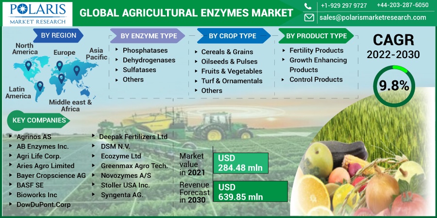 Agricultural Enzymes Market