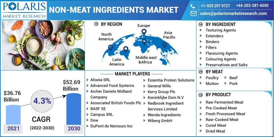 Non-meat Ingredients Market Size
