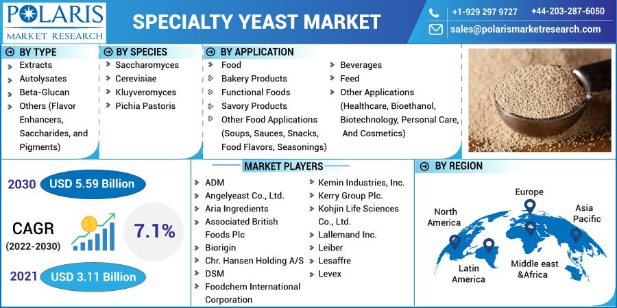 Specialty Yeast Market