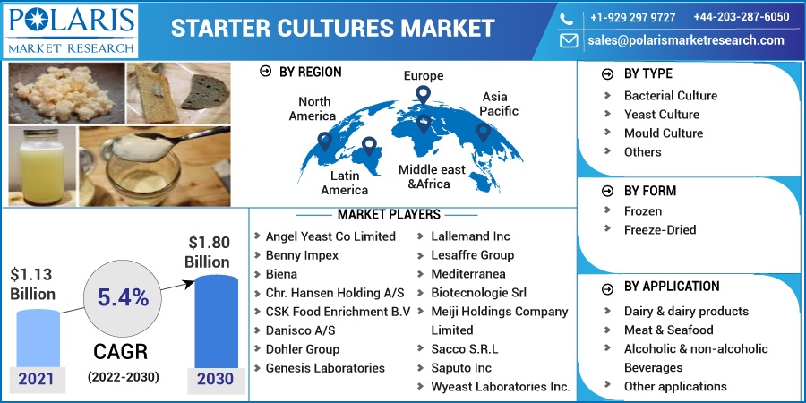 Starter Cultures Market