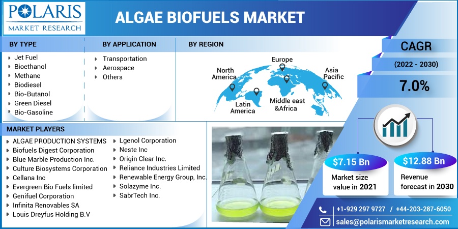 Algae Biofuels Market