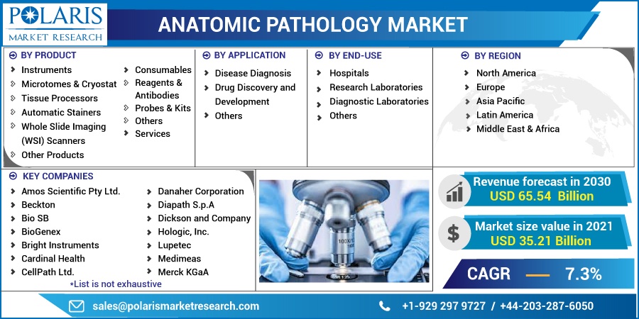 Anatomic Pathology Market