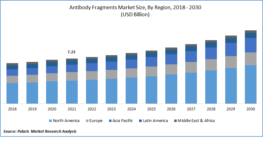 Antibody Fragments Market Size