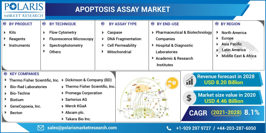 Apoptosis Assay Market