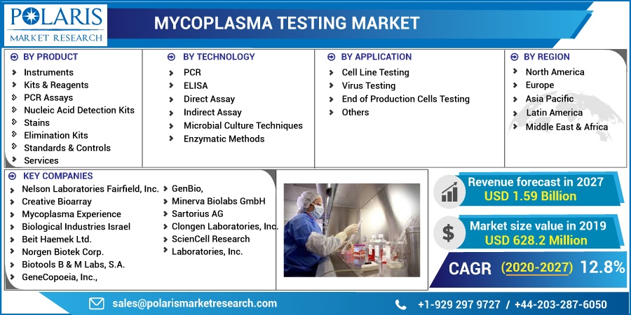 Mycoplasma Testing Market