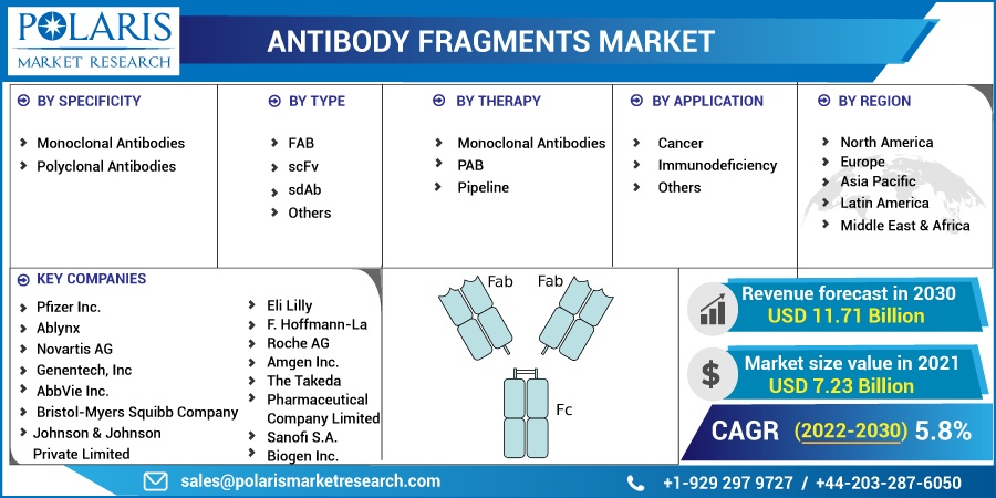 Antibody Fragments Market