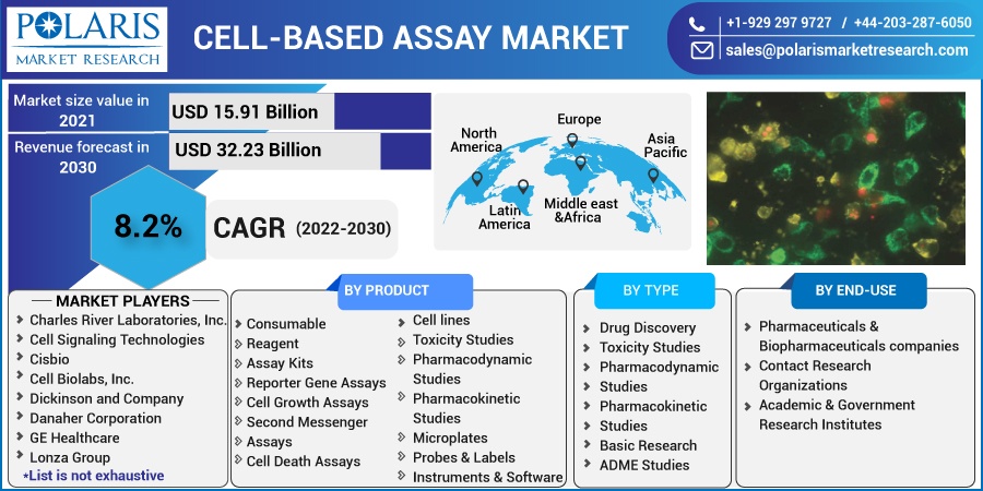 Cell-based Assay Market