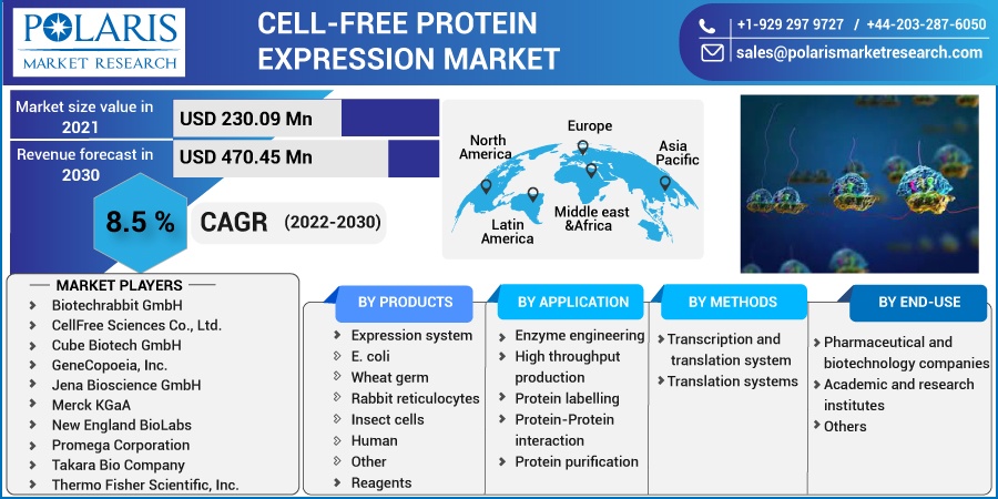 Cell-free Protein Expression Market