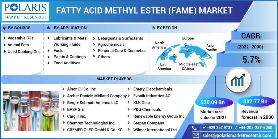 Fatty Acid Methyl Ester (FAME) Market