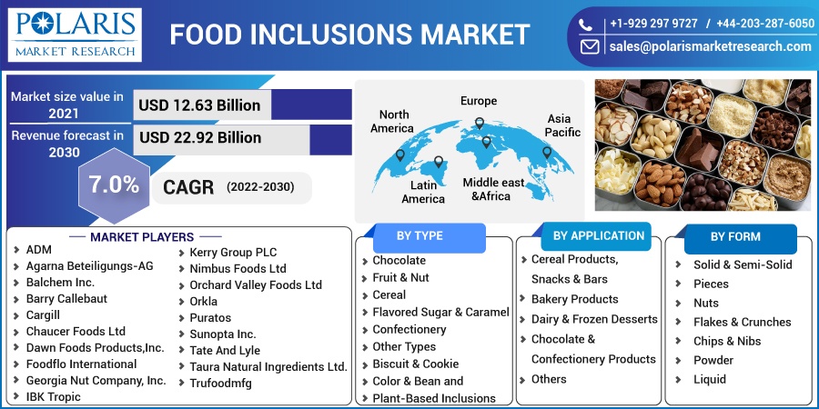 Food Inclusions Market