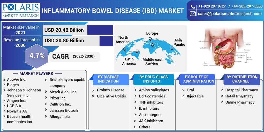 Inflammatory Bowel Disease (IBD) Market