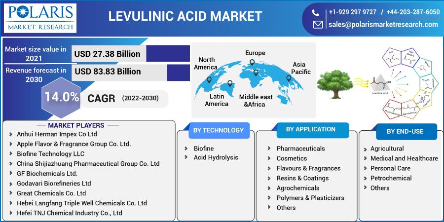 Levulinic Acid Market