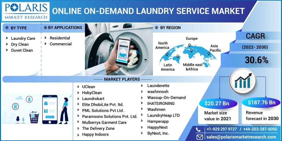 Online On-demand Laundry Service Market