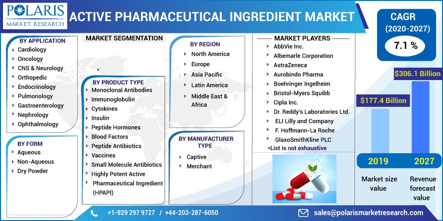 Active Pharmaceutical Ingredient (API) Market