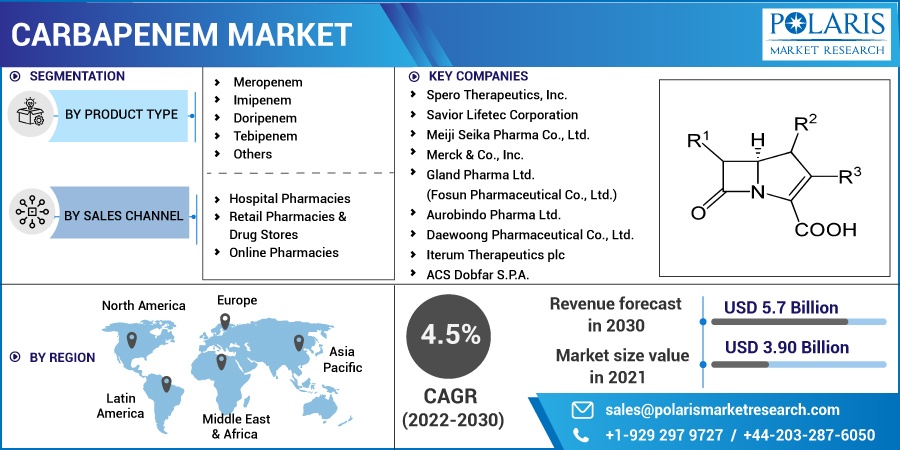 Carbapenem Market