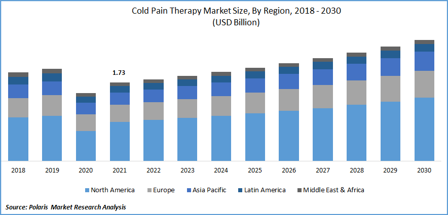 Cold Pain Therapy Market Size
