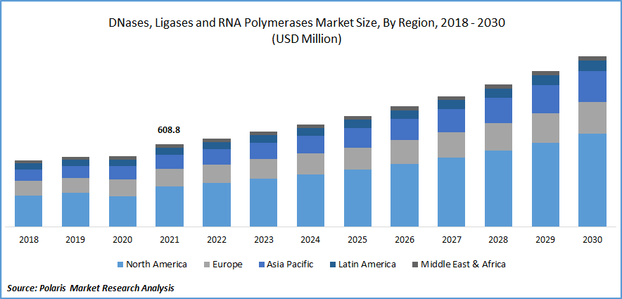 DNases, Ligases, and RNA Polymerases Market Size