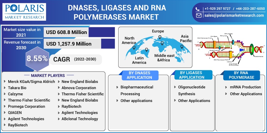 Dnases, Ligases and RNA Polymerases Market