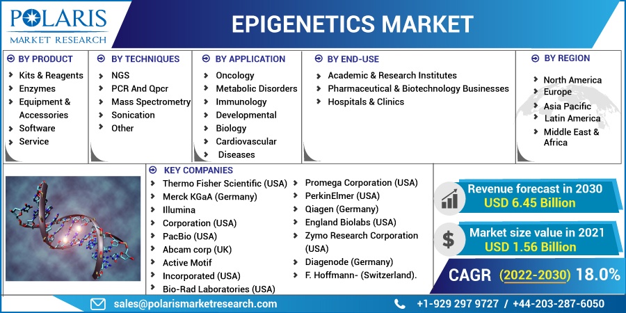 Epigenetics Market