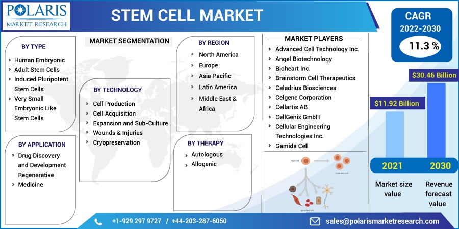 Stem Cell Market